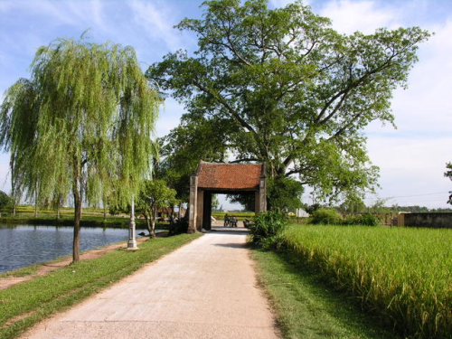 DUONG LAM VILLAGE